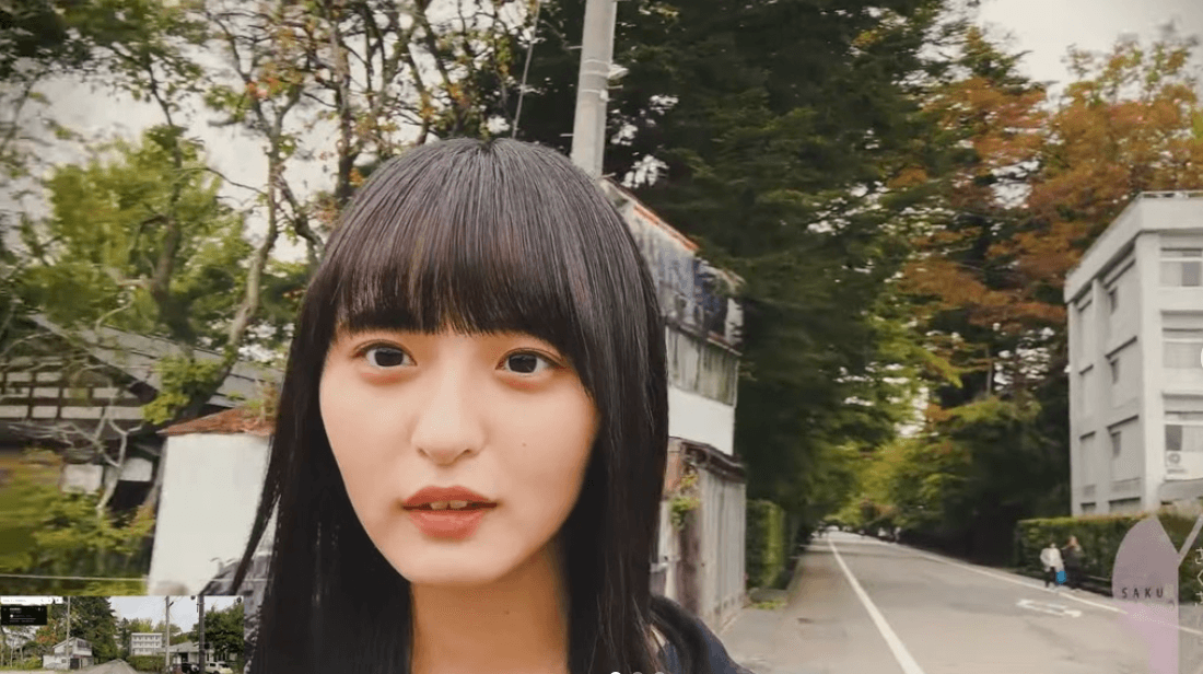 武家屋敷通り(角館) - 乃木坂46の聖地