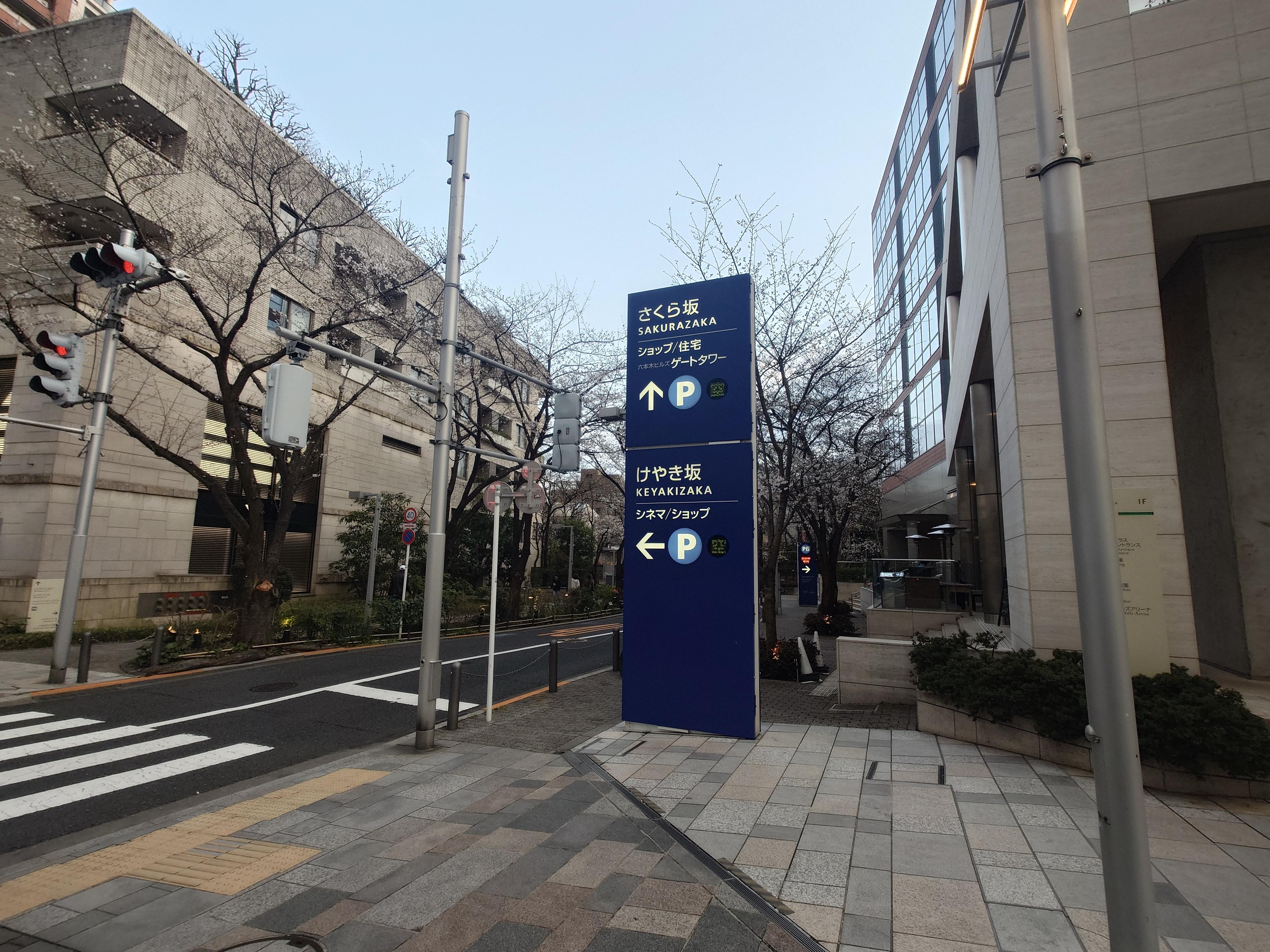 六本木さくら坂 - 京都府の聖地